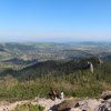 img_0502